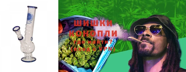 винт Дмитров
