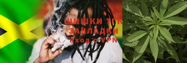 винт Дмитров