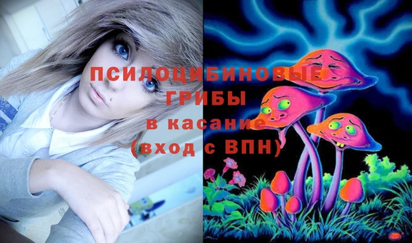 дмт Гусь-Хрустальный