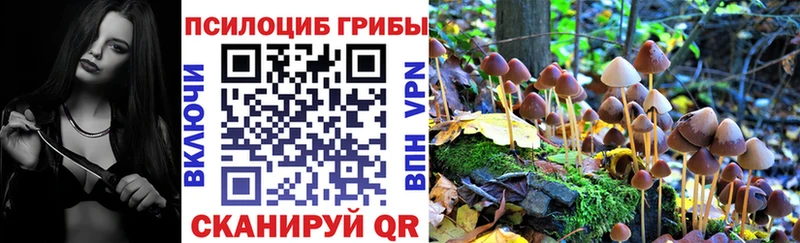 купить сайты Добрянка Галлюциногенные грибы Psilocybine cubensis