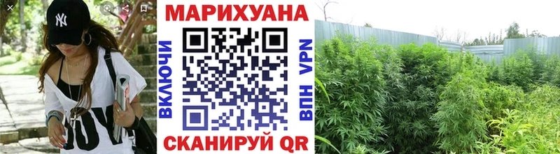 Канабис индика  Добрянка 